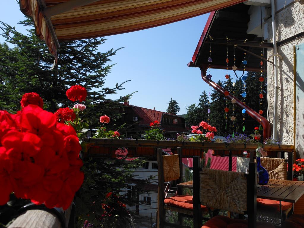 Bistro-Pension La Teleferic Sinaia Exterior photo