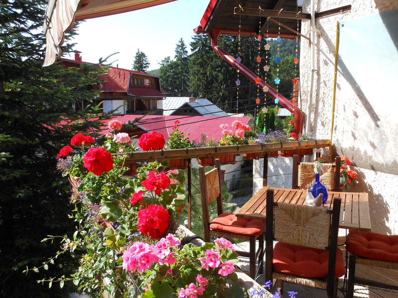 Bistro-Pension La Teleferic Sinaia Exterior photo