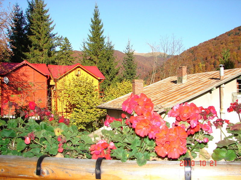 Bistro-Pension La Teleferic Sinaia Exterior photo